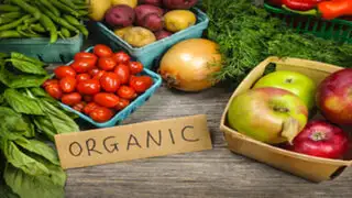 ¿Los alimentos orgánicos están realmente libres de sustancias químicas?