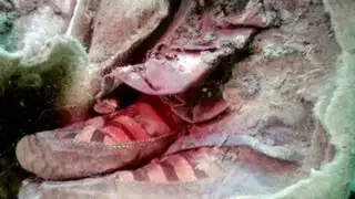 ¿Encontraron zapatillas Adidas en una momia de 1500 años de antigüedad?