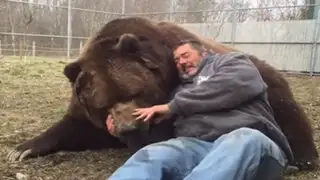 VIDEO: enorme oso juega inocentemente junto al cuidador de un zoológico