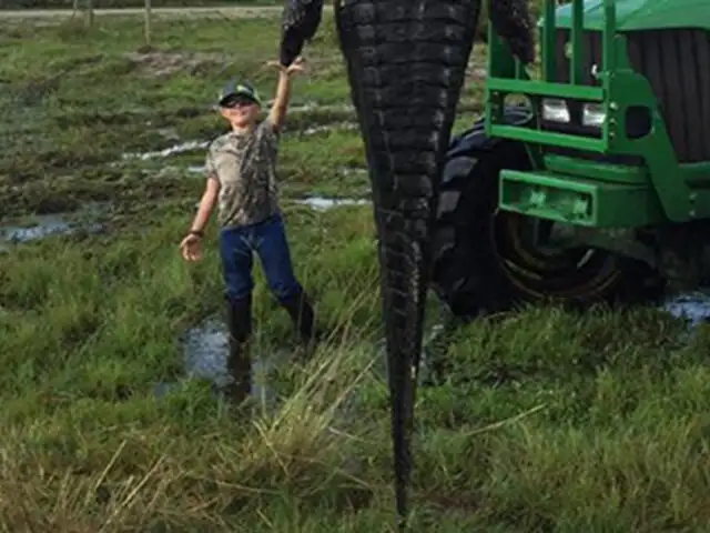 FOTOS: capturan gigantesco cocodrilo de casi cinco metros en Florida