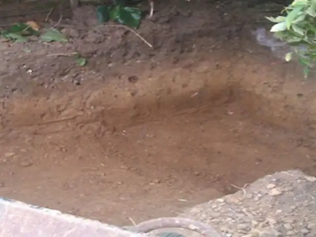 Comenzó cavando un pequeño agujero en el patio y lo que logró fue impresionante