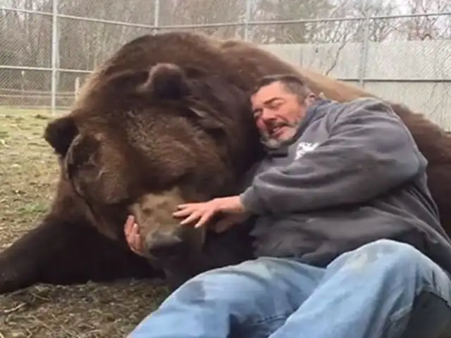 VIDEO: enorme oso juega inocentemente junto al cuidador de un zoológico