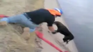 Obreros salvan a perro de morir ahogado
