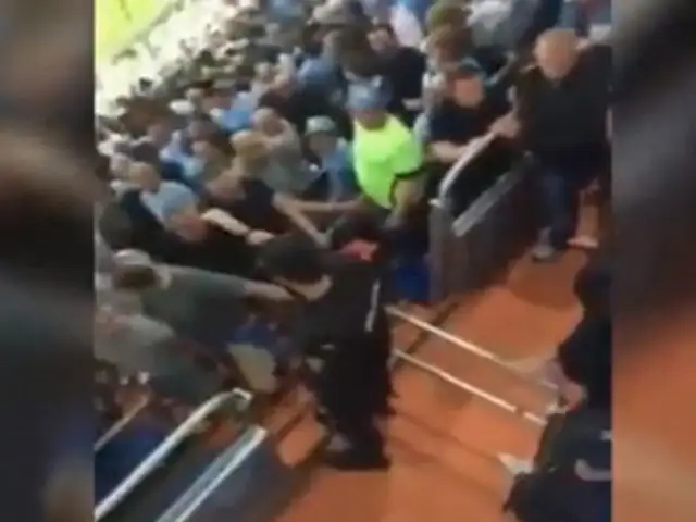 VIDEO: hinchas del Manchester City se agarraron a golpes con la policía española