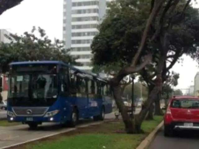 Corredor Azul: habló el chofer de bus que invadió ciclovía