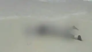 Encuentran más de 80 cadáveres en playa de Libia