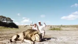 ¿Karma? La venganza de un león contra pareja de cazadores
