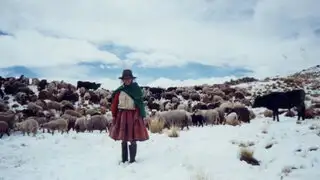 Arequipa: pobladores soportan temperaturas de hasta 15 grados bajo cero
