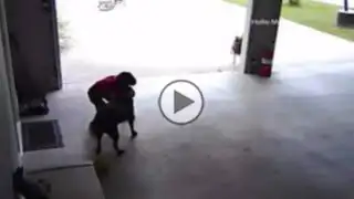 VIDEO: el niño que invade propiedad ajena únicamente para abrazar al perro de su vecina