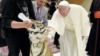 Vaticano: El tierno encuentro entre el papa Francisco y un tigre