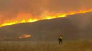 Estados Unidos: Éxodo por incendios forestales en California y Nuevo México