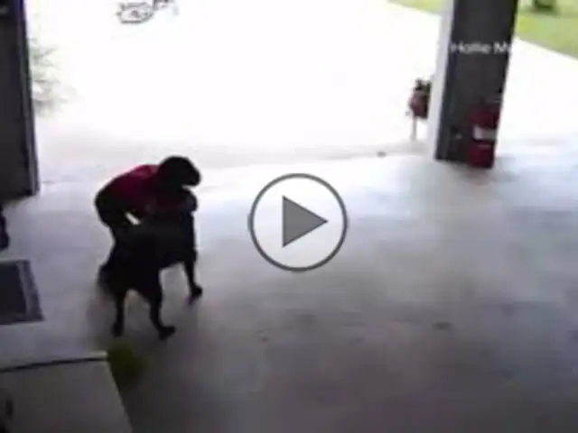 VIDEO: el niño que invade propiedad ajena únicamente para abrazar al perro de su vecina