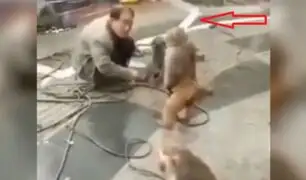 Mono coge un cuchillo y ataca a un hombre en una calle de China