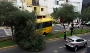 Movilidad escolar chocó contra un árbol en San Isidro