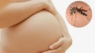 'La Escuelita': todo lo que debes saber sobre el embarazo y el Zika