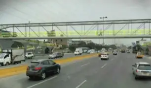Surco: construirán nuevo puente peatonal en Panamericana Sur