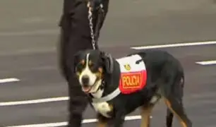 Desfile Militar: perros de Pedro Pablo Kuczynski se robaron el show