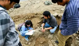 Sentenciados a trabajos comunitarios limpiaron parques arqueológicos en Cusco
