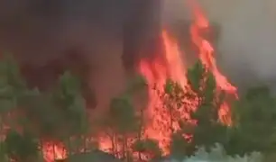 Portugal: incendios forestales arrasan viviendas y campos agrícolas