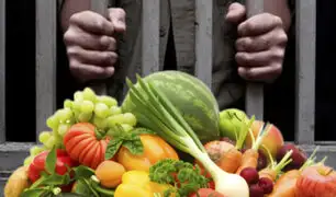 Italia: Parlamento plantea cárcel para padres que obliguen a hijos a dieta vegana