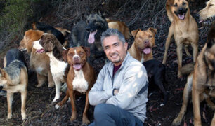 México: “Encantador de perros” regresa para ayudar a los canes callejeros