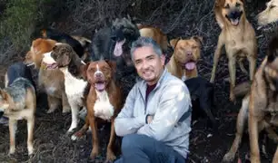 México: “Encantador de perros” regresa para ayudar a los canes callejeros
