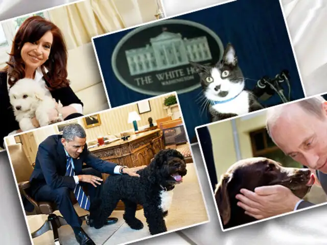 Mascotas célebres, conozca a los engreídos de los Presidentes