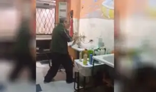 Peluquero bailando mientras baña cachorro es viral en Facebook