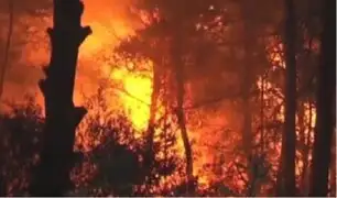 España: 810 hectáreas vienen siendo devoradas por incendios forestales