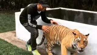 La increíble reacción de un tigre tras ser asustado por piloto Lewis Hamilton