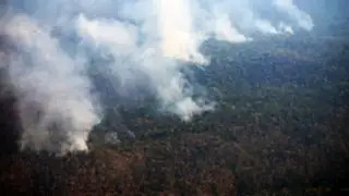 Junín: incontrolable incendio arrasa más 20 mil hectáreas en dos días