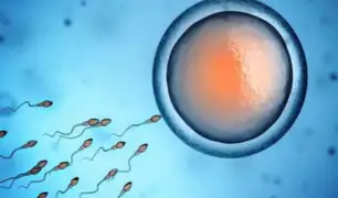 Salud reproductiva: ¿se puede producir esperma a partir de la piel?