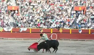 Recolectan firmas para referéndum contra corridas de toros