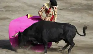 Tauromaquia en el debate: buscan referéndum contra corridas de toros