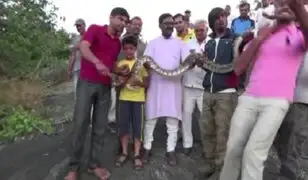 India: serpiente muerde a joven que intentaba tomarse un selfie