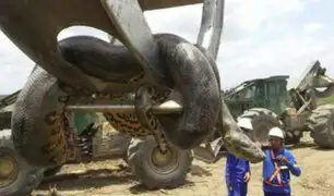 Brasil: hallan anaconda gigante de 10 metros de largo