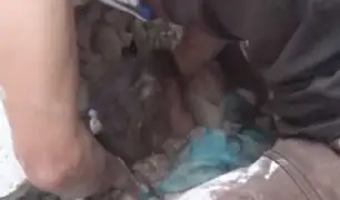 Siria: niña de 5 años fue rescatada tras quedar sepultada