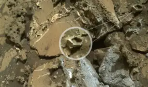 Esta imagen sería la prueba de que hubo vida en Marte
