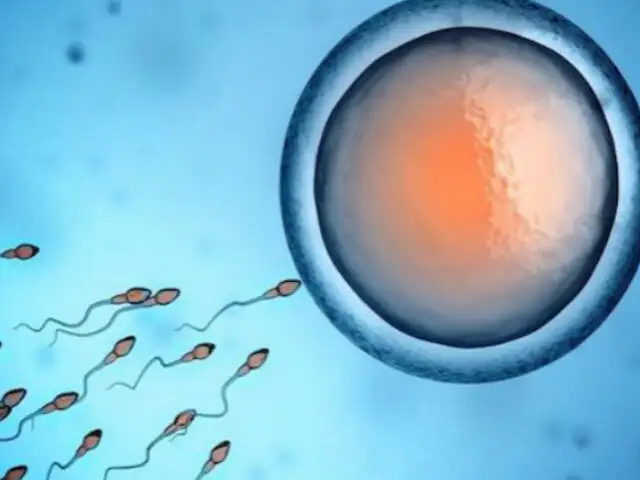 Salud reproductiva: ¿se puede producir esperma a partir de la piel?