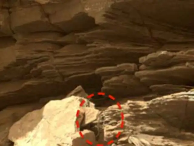 ¿Una serpiente en Marte ha sido captada por los robots de la NASA? [FOTOS]