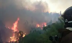 Chile: decretan alerta roja por incendio forestal en Valparaíso