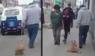 Maltrato animal: sujeto arrastra a su perro por una calle de Chorrillos