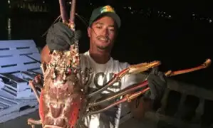 Facebook: Langosta “monstruo”  pescada en Bermudas se hace viral [VIDEO]