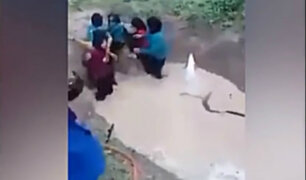 YouTube: obligan a escolares a cruzar pozo lleno de serpientes
