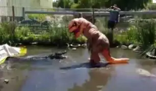Un sujeto disfrazado de Tiranosaurio Rex molesta a un enorme lagarto