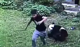 YouTube: Joven intentó probar su valor molestando a un panda y así lo pagó [VIDEO]
