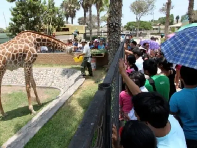 Parque de las Leyendas celebra el Día Mundial de los Animales