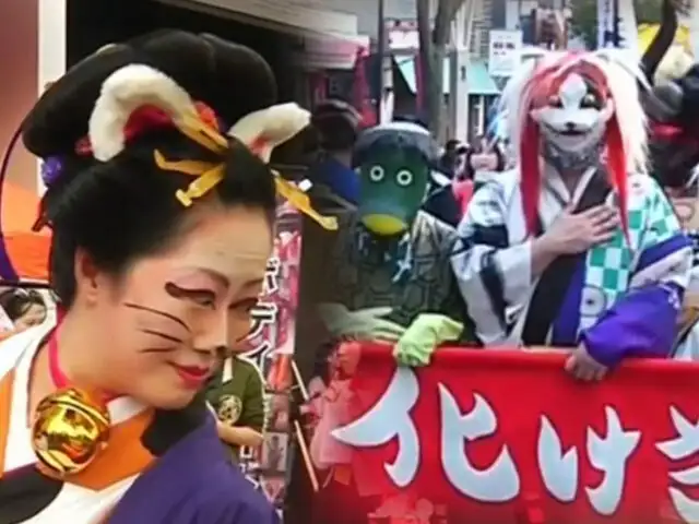 Japón celebra insólito festival de los gatos