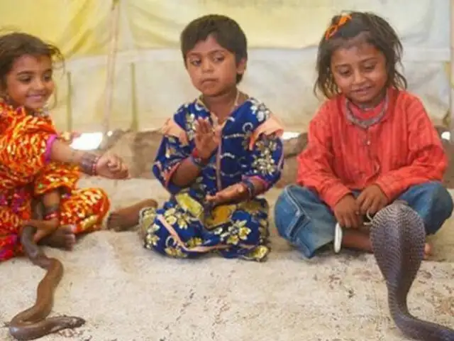 India: niños encantadores de serpientes