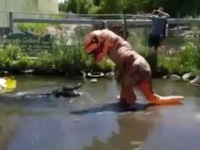 Un sujeto disfrazado de Tiranosaurio Rex molesta a un enorme lagarto